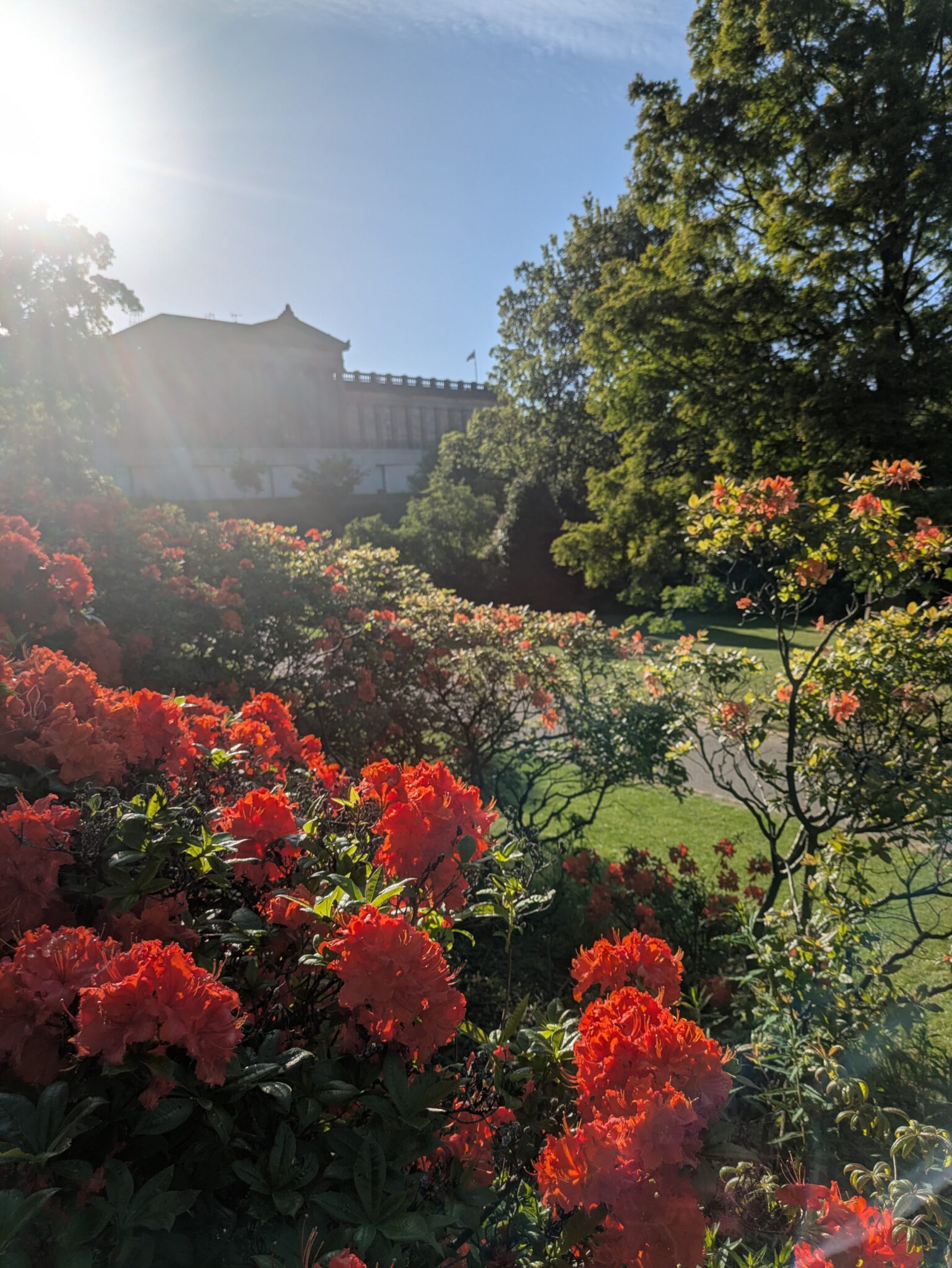 PXL_20250522_173436931