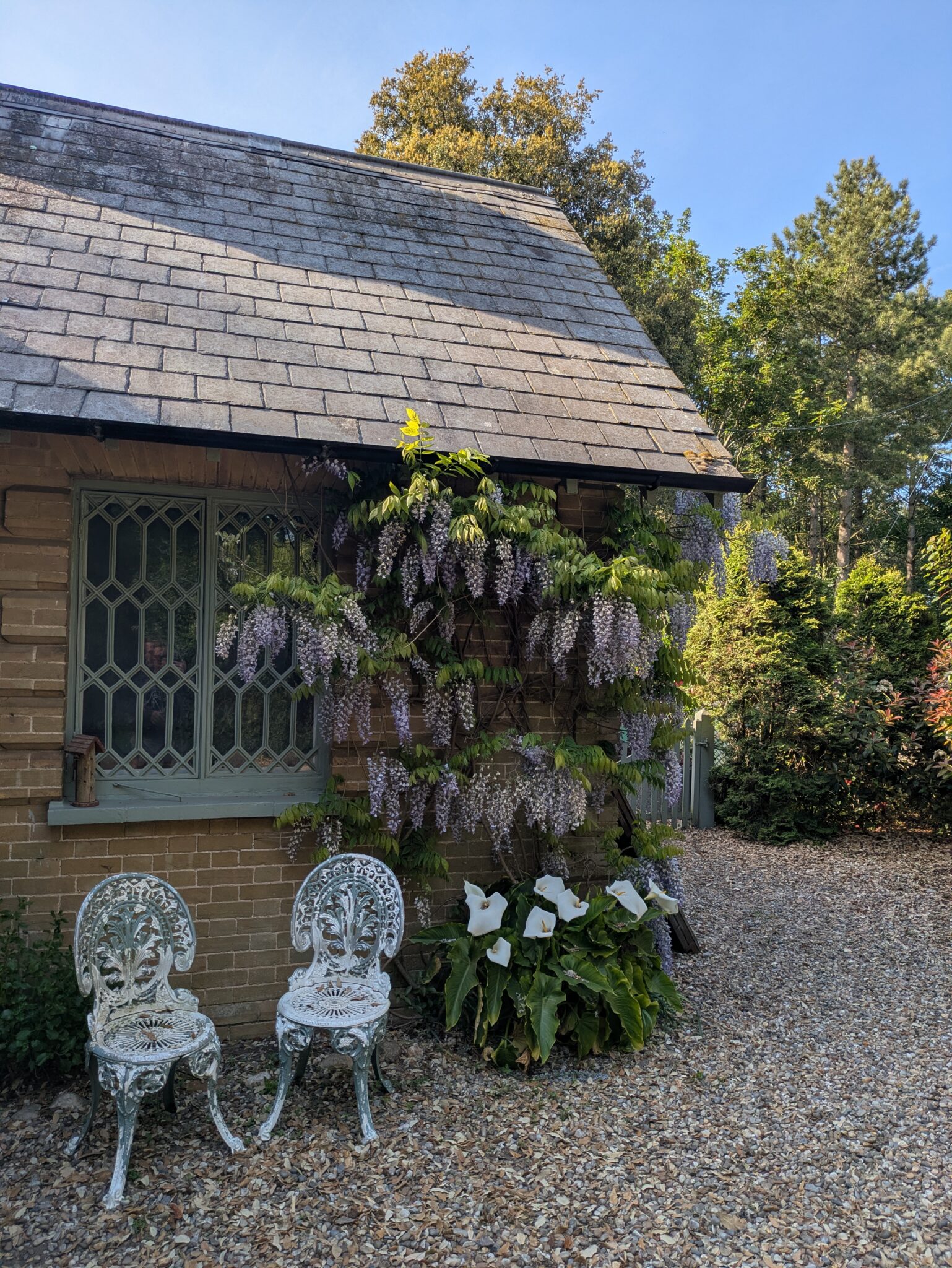 PXL_20250523_161055773