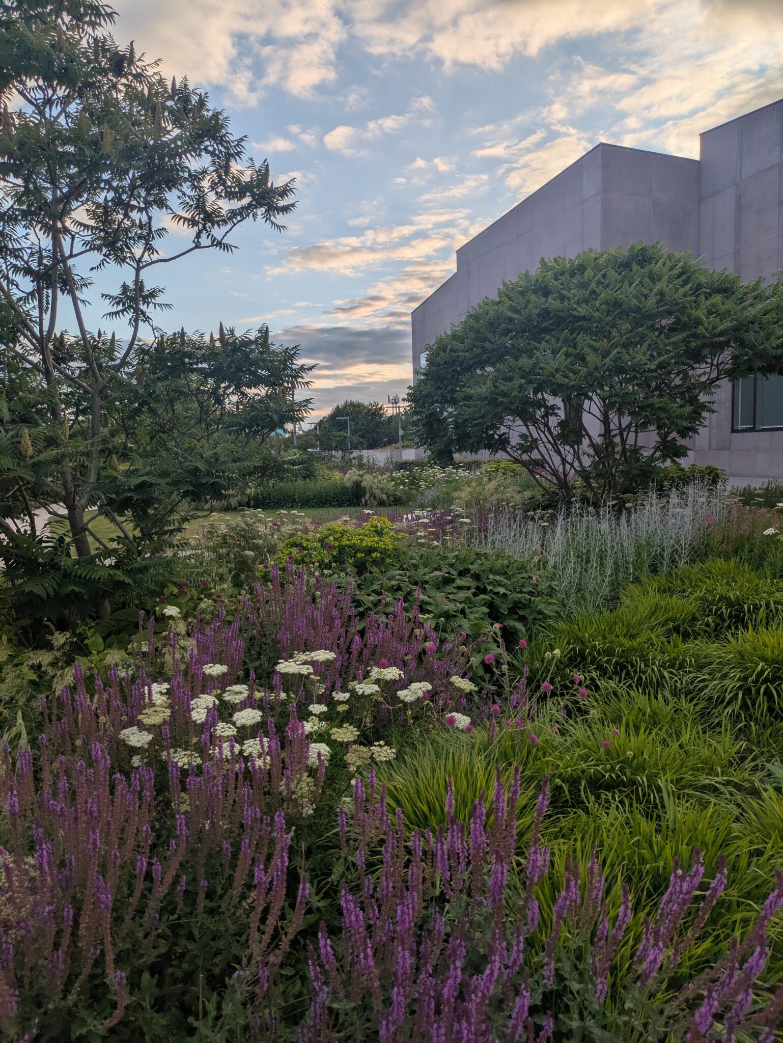 PXL_20250623_194014963