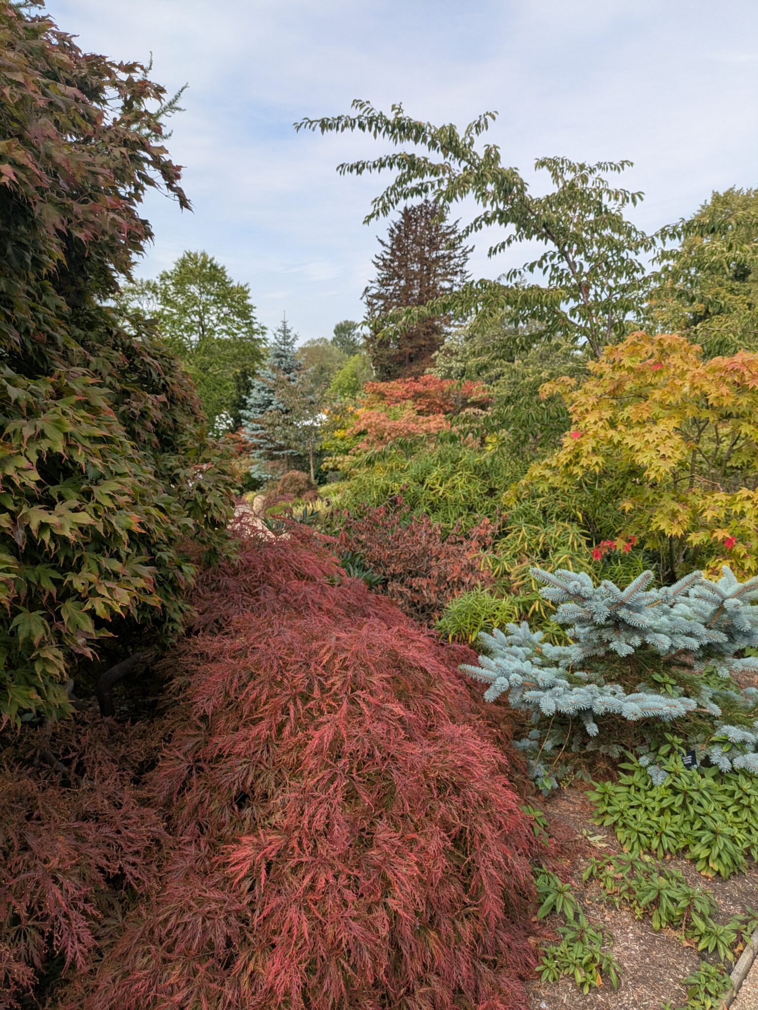 PXL_20250906_105759619