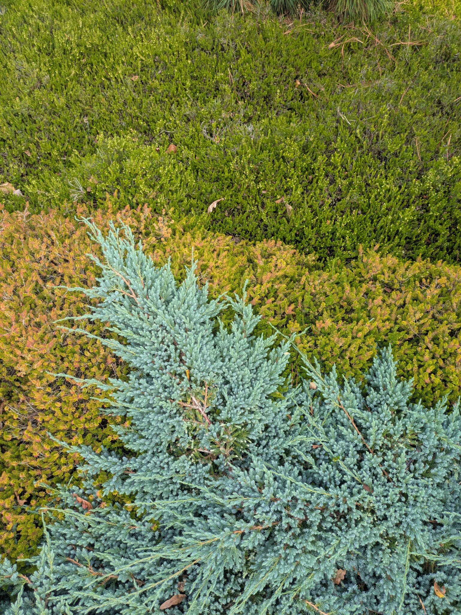 PXL_20250906_114347539