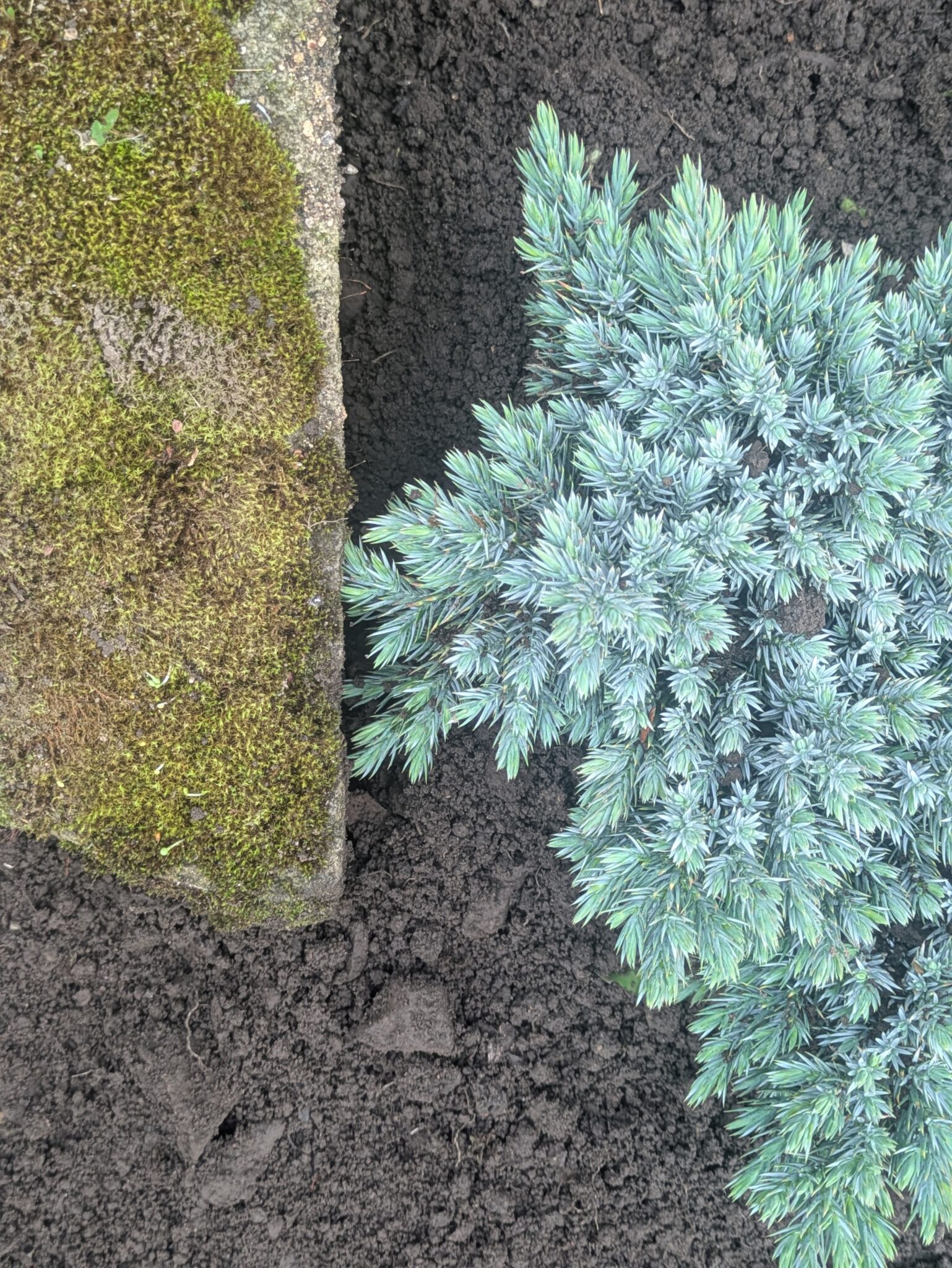 PXL_20250918_145905457.PORTRAIT.ORIGINAL