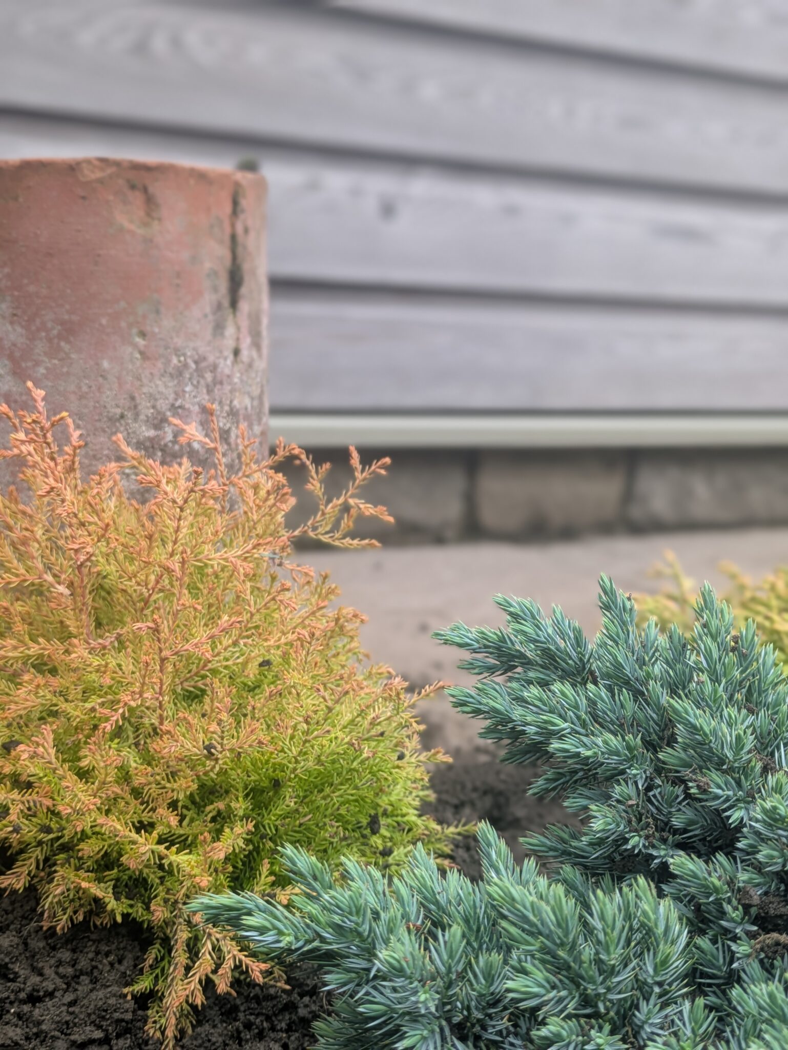 PXL_20250918_150101882.PORTRAIT (1)