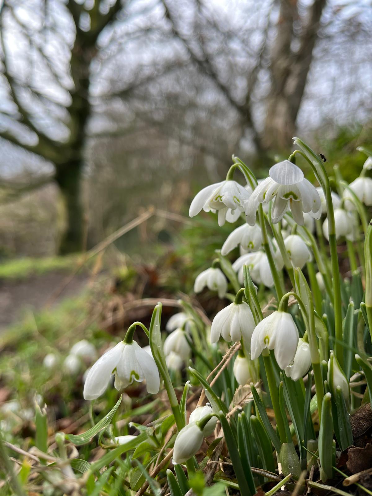 WhatsApp Image 2026-02-01 at 14.06.07