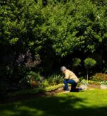 side-view-biracial-senior-woman-with-short-hair-gardening-while-kneeling-grassy-land-yard_13339-307404